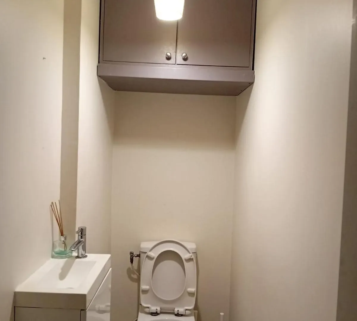 2Bhk Entire Apartment Fully Equipped 84M2 Λυών 0*,