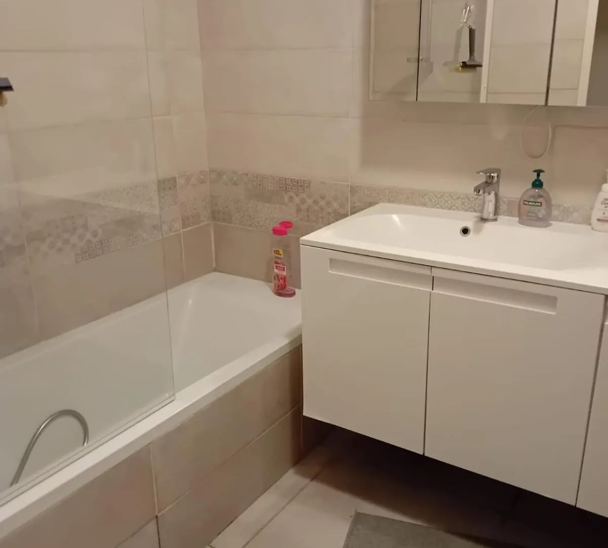 2Bhk Entire Apartment Fully Equipped 84M2 Lyon